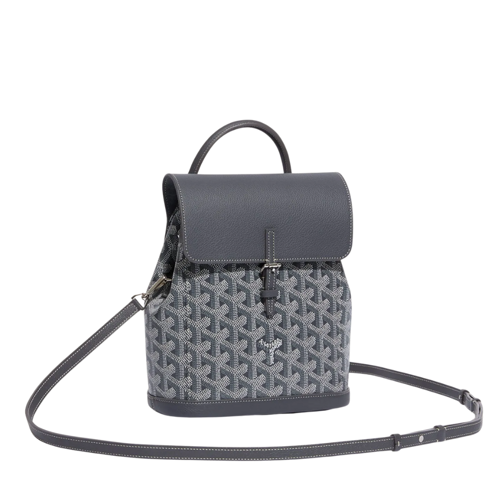 Goyard Sac à dos Alpin Gris