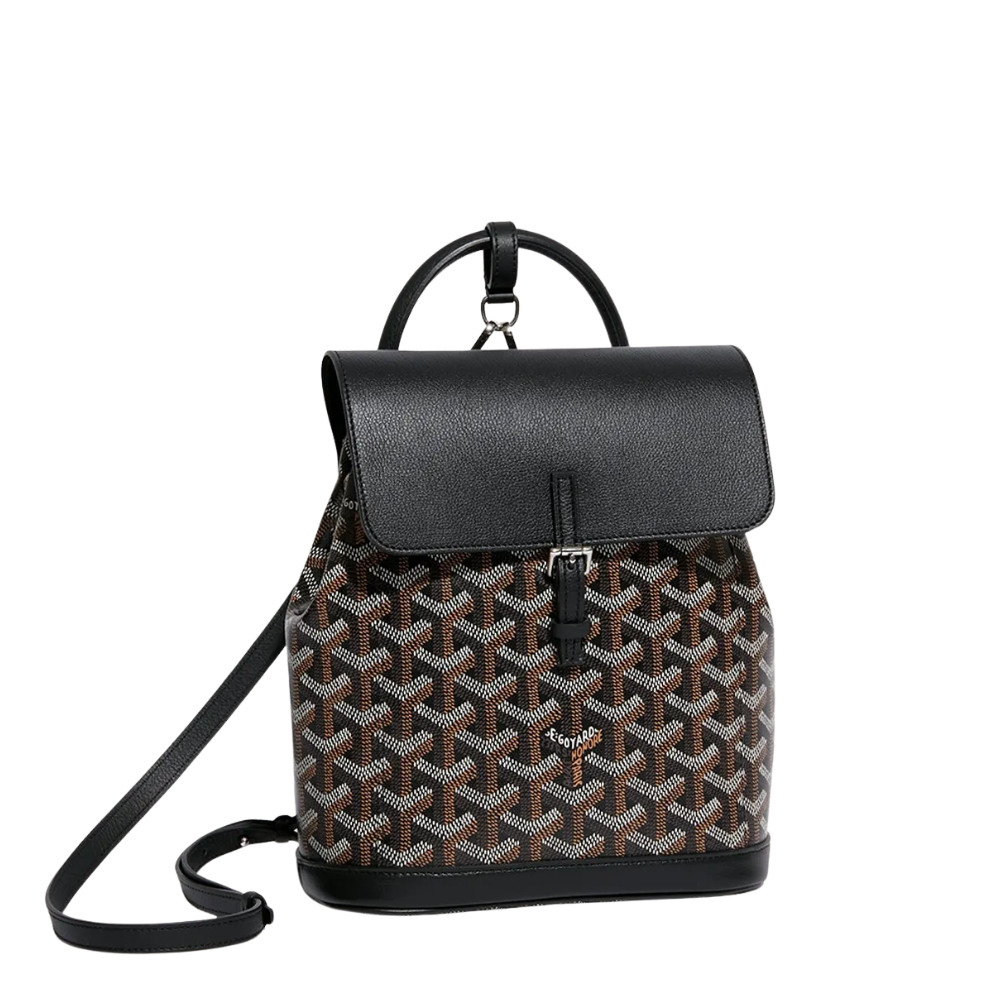 Goyard Sac à dos Alpin Noir