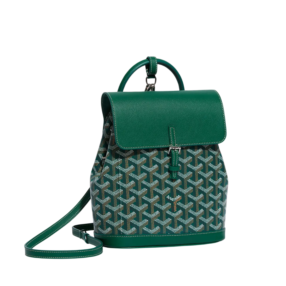 Goyard Sac à dos Alpin Vert