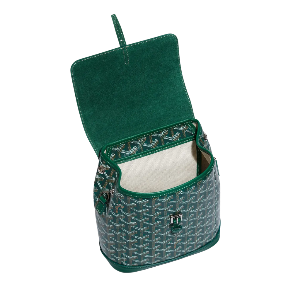 Goyard Sac à dos Alpin Vert