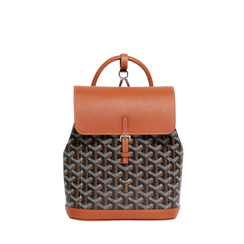 Goyard Sac à dos Alpin Noir/Naturel