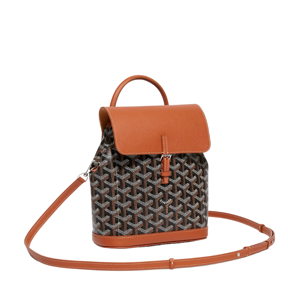 Goyard Sac à dos Alpin Noir/Naturel