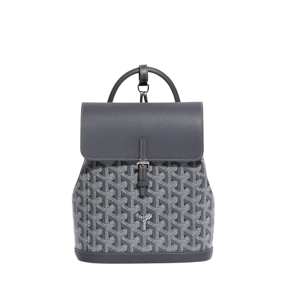 Goyard Sac à dos Alpin Gris